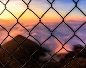 کاربرد توری حصاری (فنس)