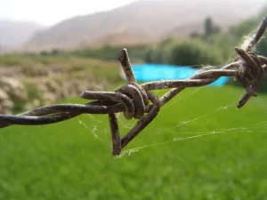 تفاوت در قطر بین سیم خاردار خطی و حلقوی
