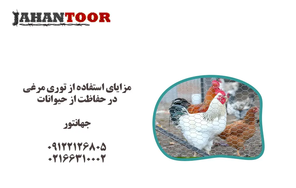 استفاده از توری مرغی