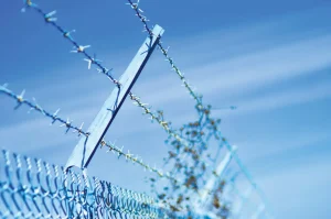 خرید سیم خاردار یزد با بهترین قیمت