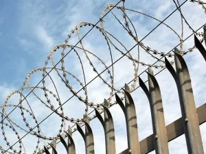 انواع سیم خاردار حلقوی