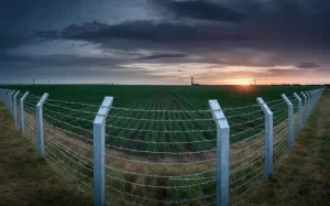 سیم خاردار خطی